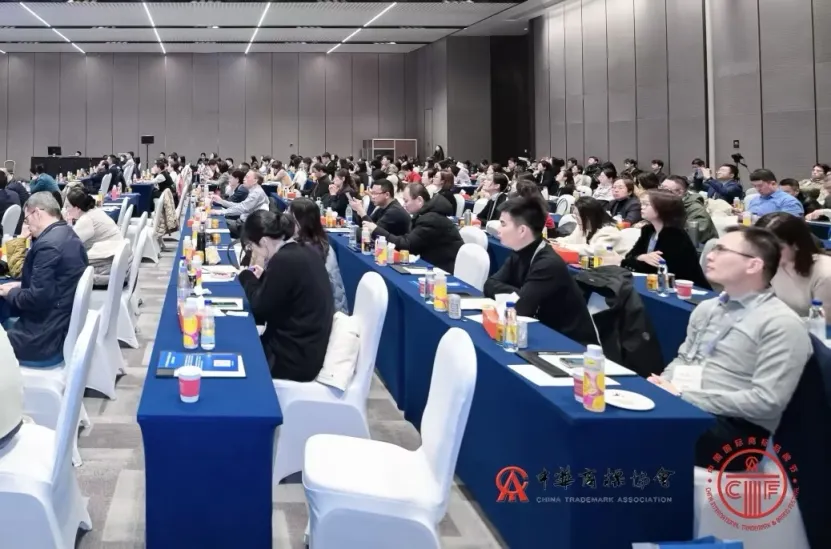 会议2.jpg